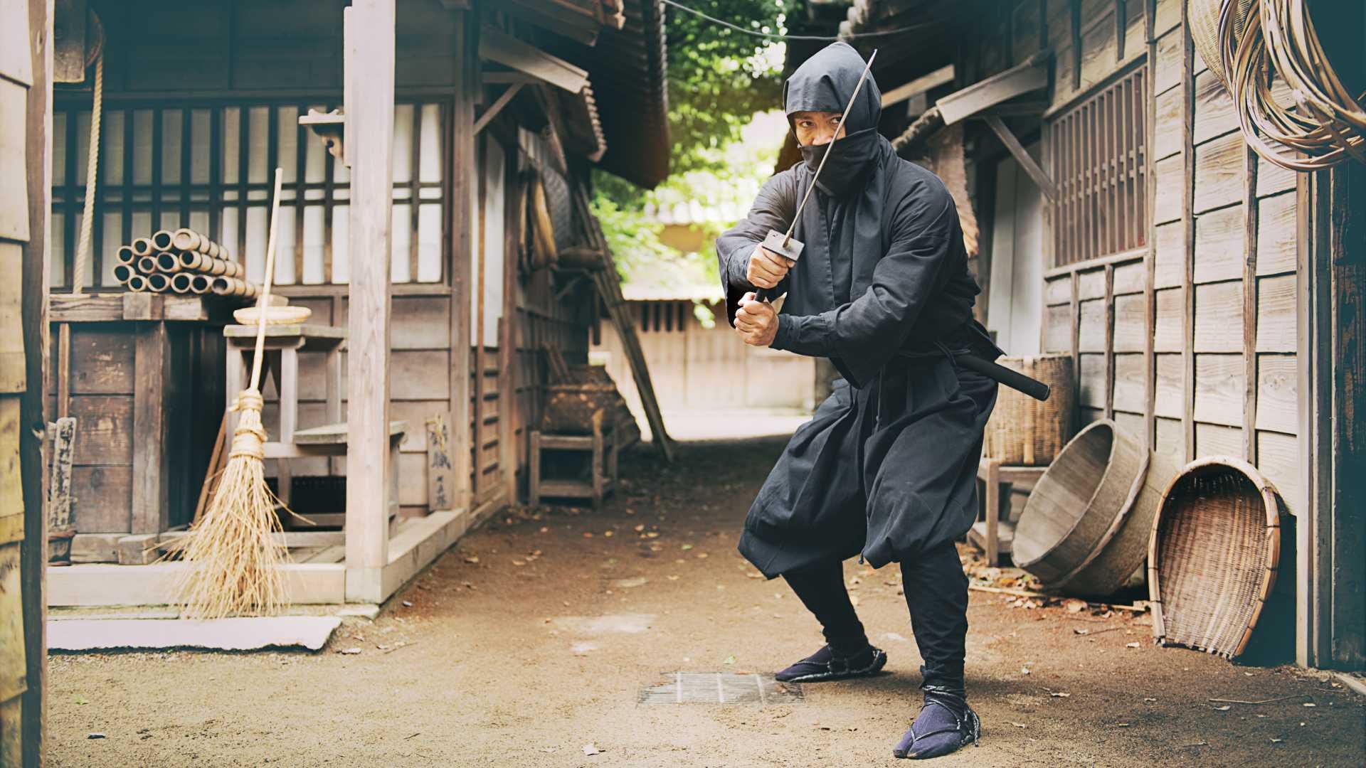 🥷 코카노사토 닌자마을(고카노사토 닌주쓰무라) 이미지 5